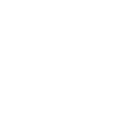 Russian-Armenian University logo
